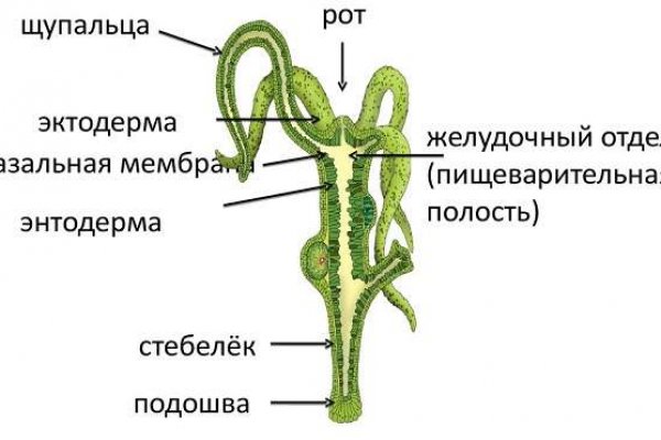 Актуальный сайт кракена