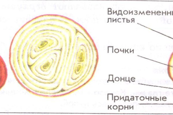 Кракен актуальные ссылки на сегодня